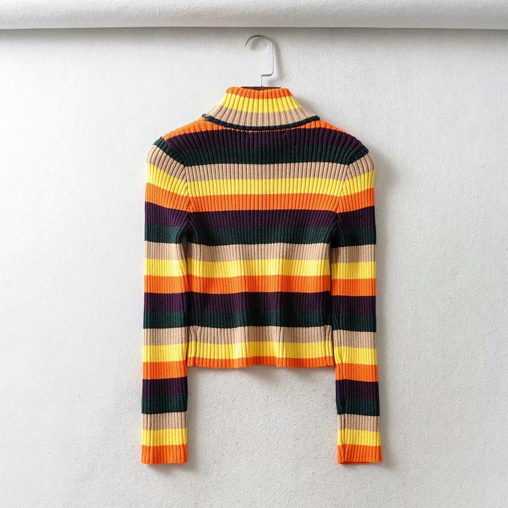 Multi-Color Slim Fit /Crop Turtleneck Sweater Ribbed pattern.