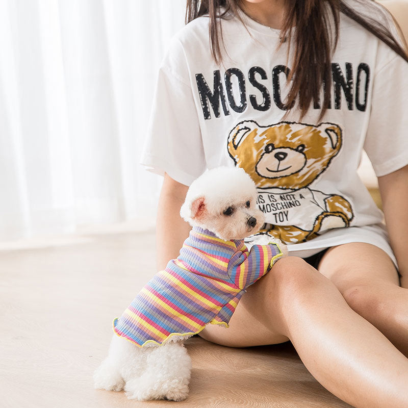 Knitted Rainbow Pet dog clothes