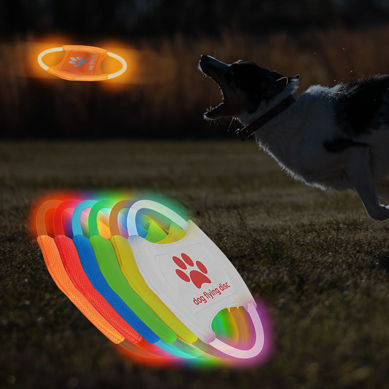 Pet Trainer Disk -Discs Light Glowing LED Luminous Toy