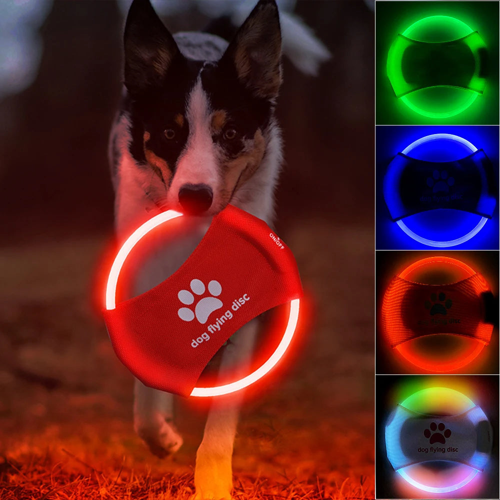 Pet Trainer Disk -Discs Light Glowing LED Luminous Toy