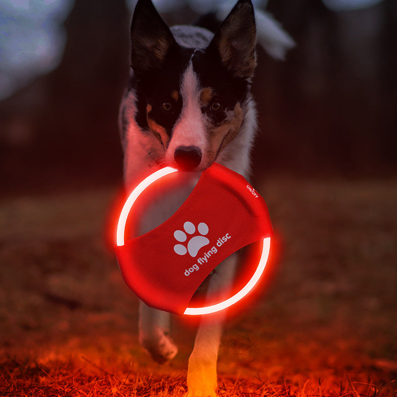 Pet Trainer Disk -Discs Light Glowing LED Luminous Toy