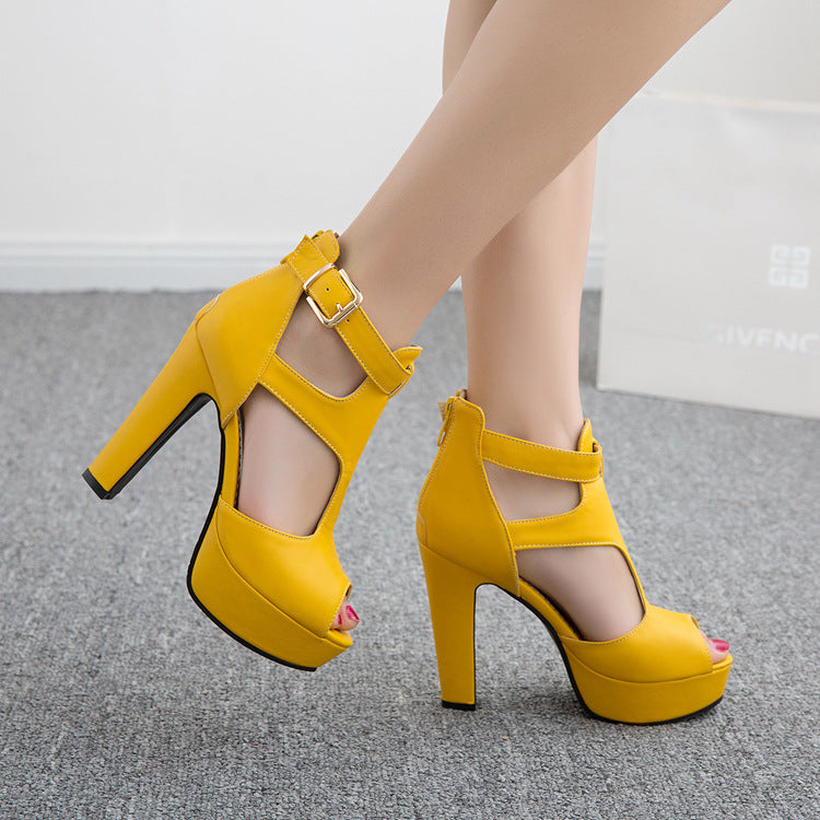 Women's Thick Platform Buckle Heeled Sandals